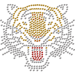 Bold and Powerful Tiger Rhinestone Iron-on Heat Transfer for Mask